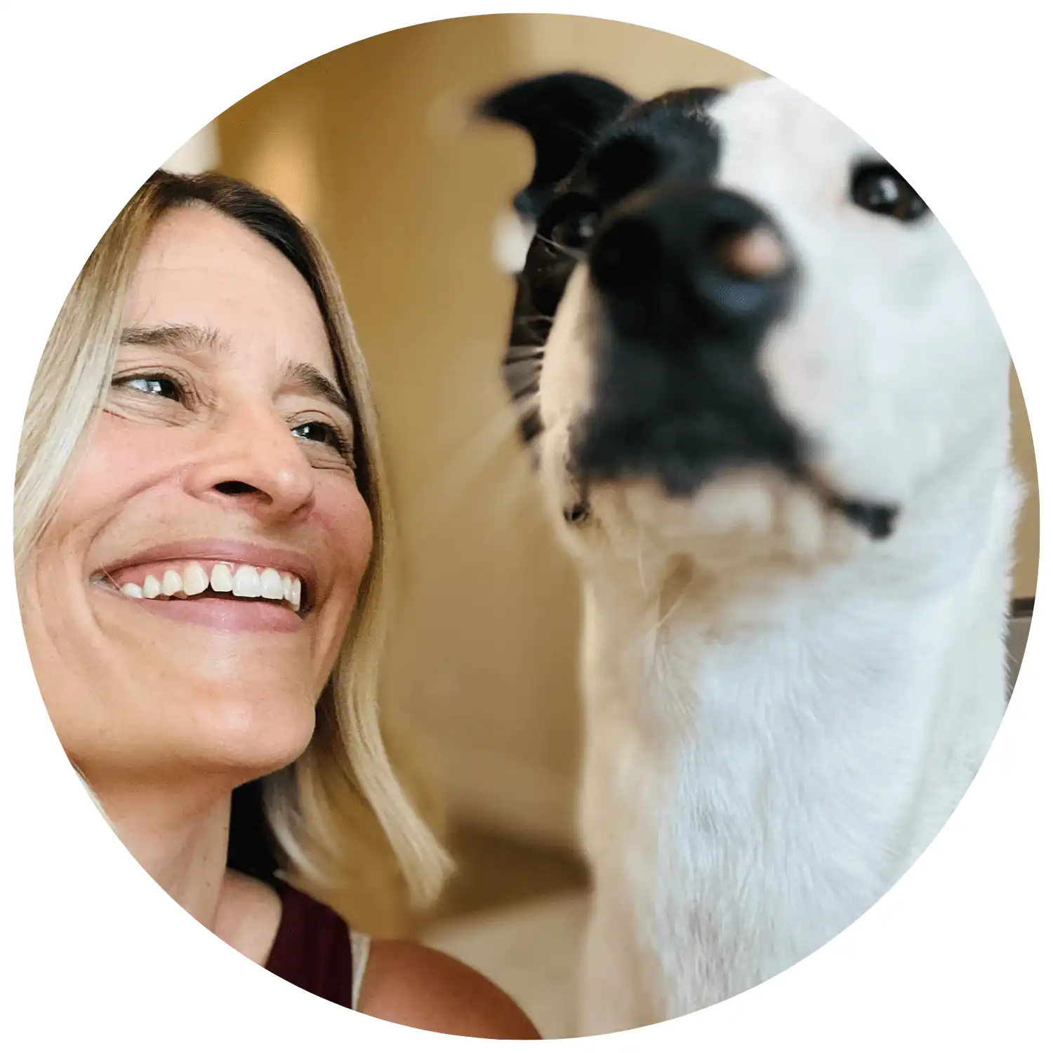 author avatar