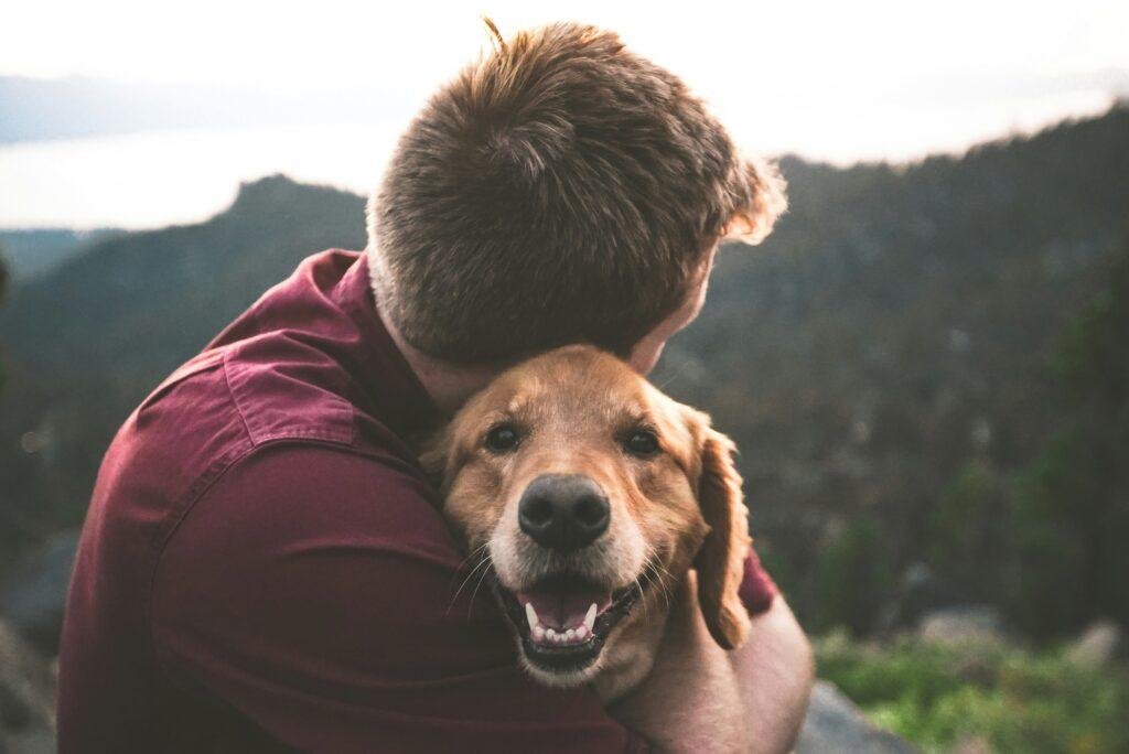 How to get an emotional support animal and how it helps someone with mental or emotional health issues.