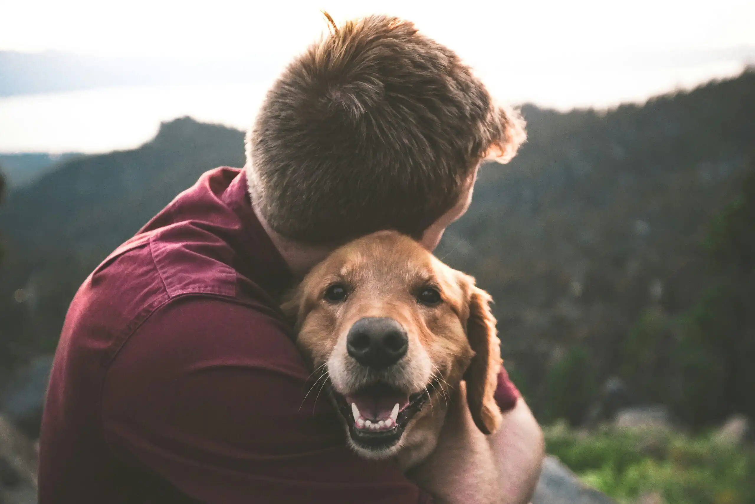 A man hugging his tan Emotional Support Animal (ESA), with beautiful treed hills in the background.