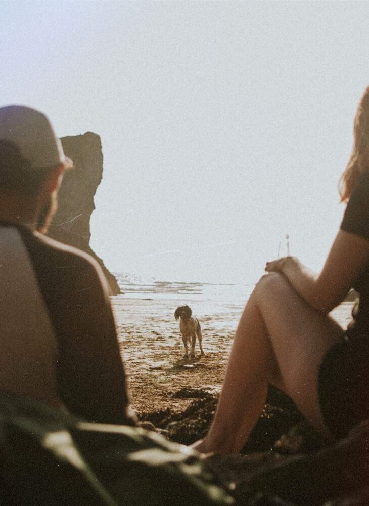 Creating a strong bond with your dog isn't as difficult as it sounds, and science has a good handle on it, so consider these methods a very good place to start bonding with your beloved pet.