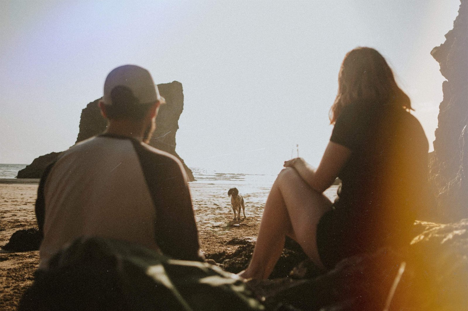 Creating a strong bond with your dog isn't as difficult as it sounds, and science has a good handle on it, so consider these methods a very good place to start bonding with your beloved pet.