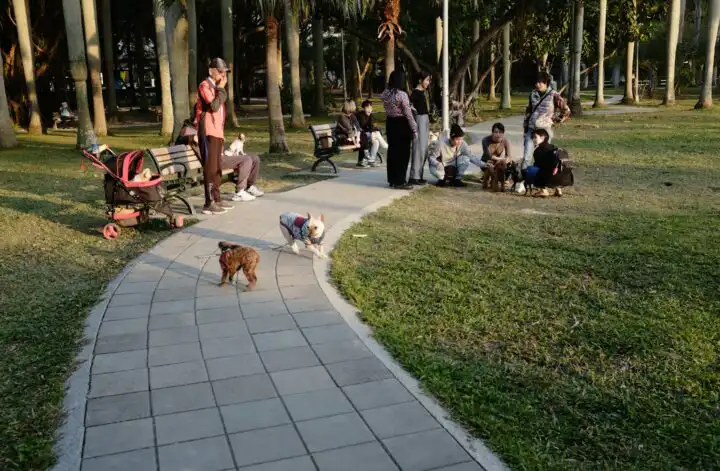 Dog parks are so fun, and Boise dog parks are coming into their own with bigger parks and areas for their owners to relax. Let's find the best ones!