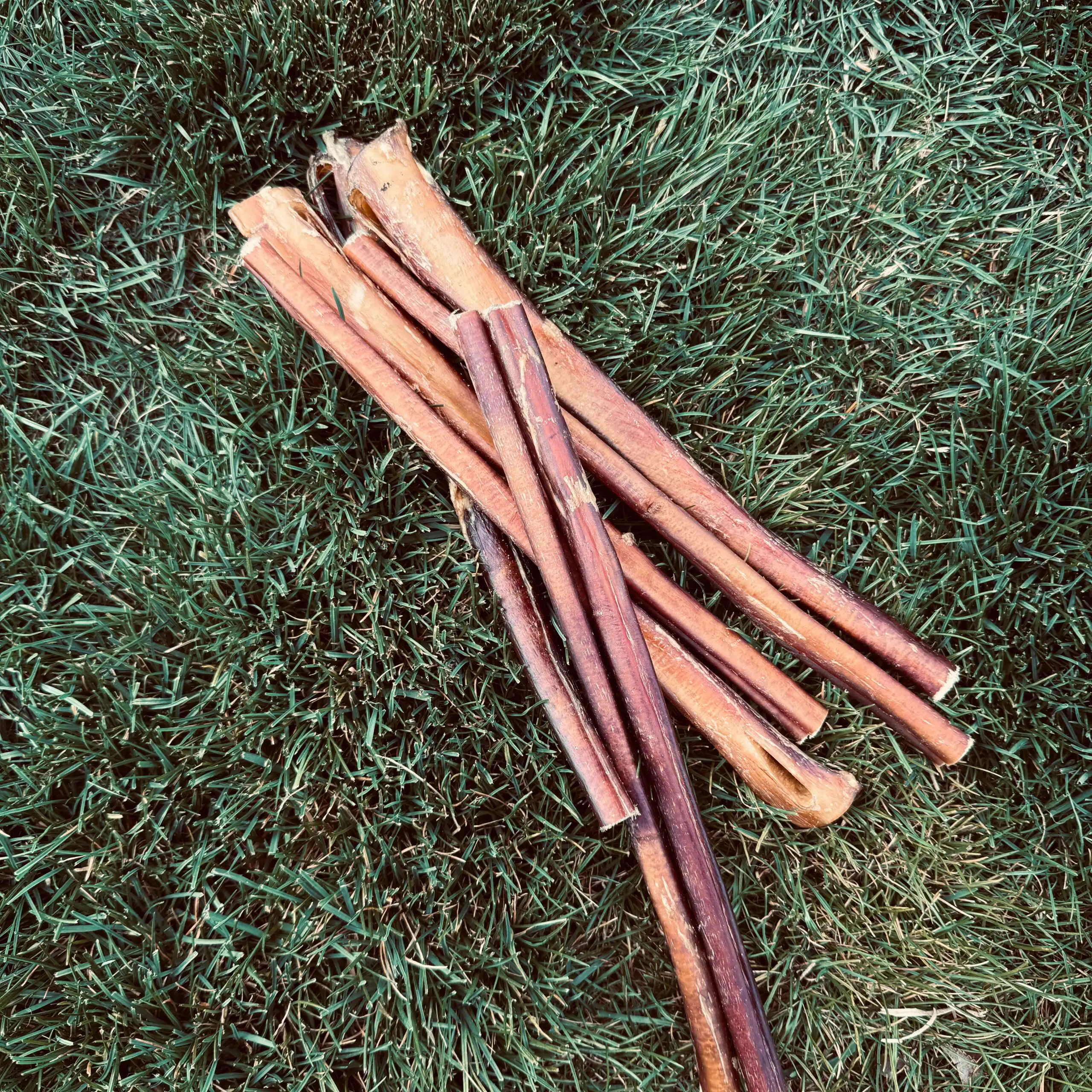 Bully Sticks | GrassFed 6" 10pk