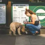 atelierbyvineeth-81eZ5UjvROM-unsplash | The Savvy Mutt Woman and her best friend, stopping at a local dog-friendly coffee and ice cream shop for a yummy treat.